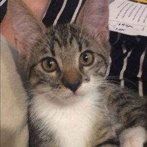 Meet your Posher, Joanne